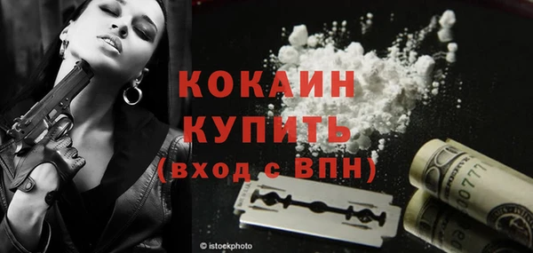 крисы Пестово